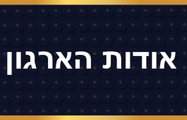 אודות הארגון